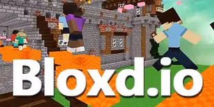 fps web game BLOXD IO online