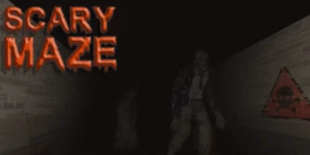 fps web game Scary Maze Game online