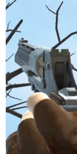 fps web game Wild West Shooter Showdown online